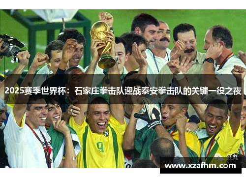 2025赛季世界杯：石家庄拳击队迎战泰安拳击队的关键一役之夜