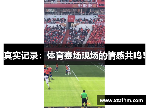 真实记录：体育赛场现场的情感共鸣！